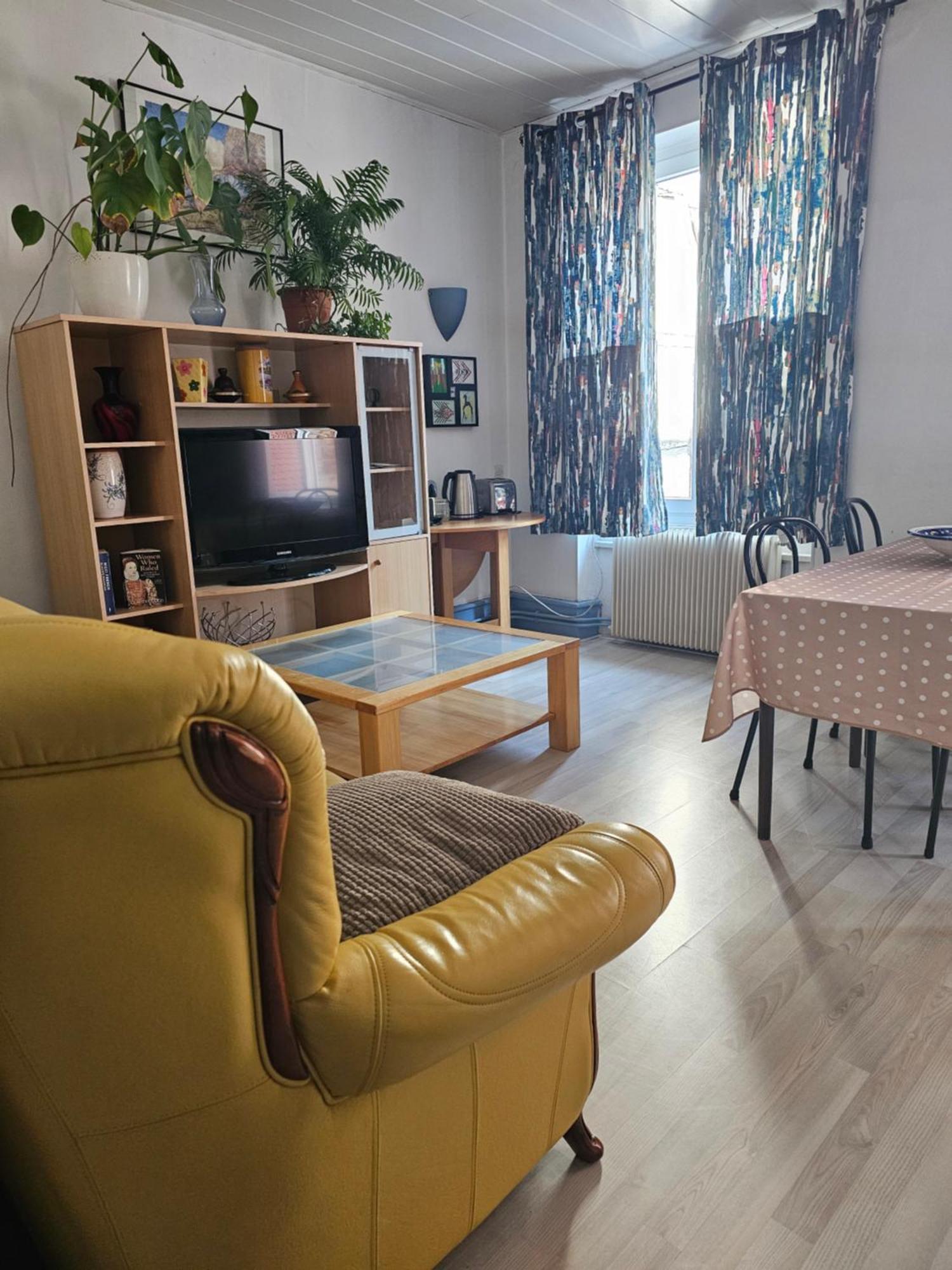 Felicita Vintage Appartements - Colmar City Center Luaran gambar